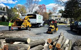 How Our Tree Care Process Works  in  Lakes Of The Four Seasons, IN